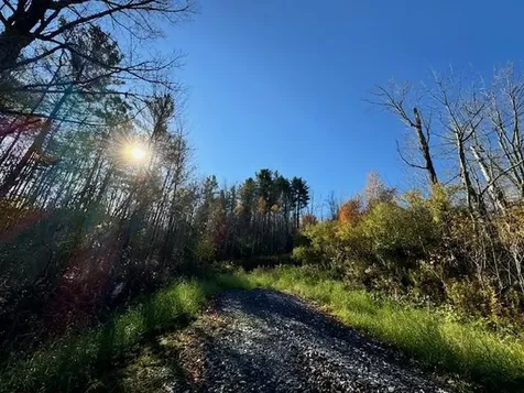 0 Route 132 Strafford VT 05070