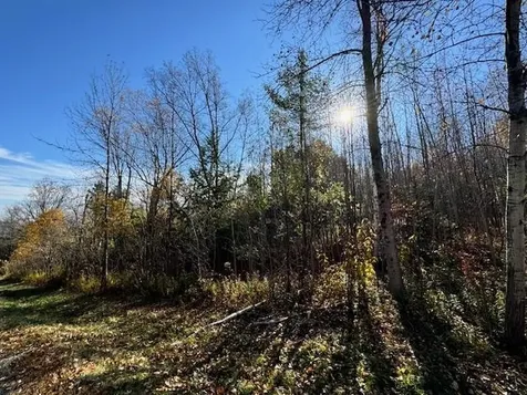 0 Route 132 Strafford VT 05070