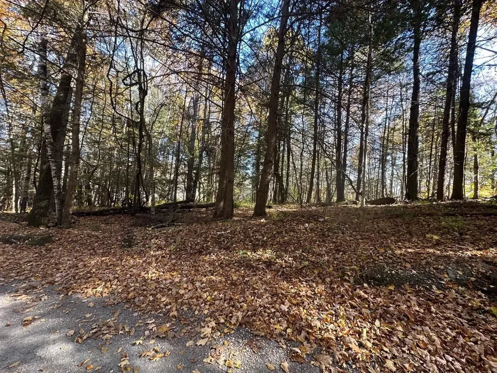 184 Dupre Drive Guilford VT 05301