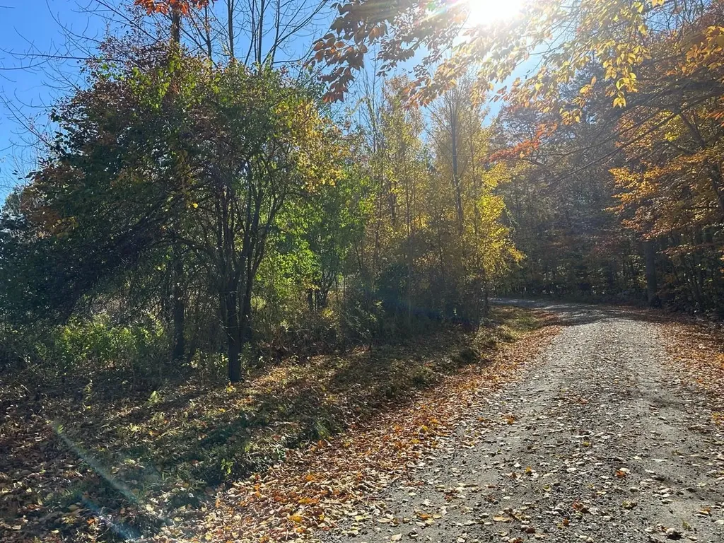 184 Dupre Drive Guilford VT 05301