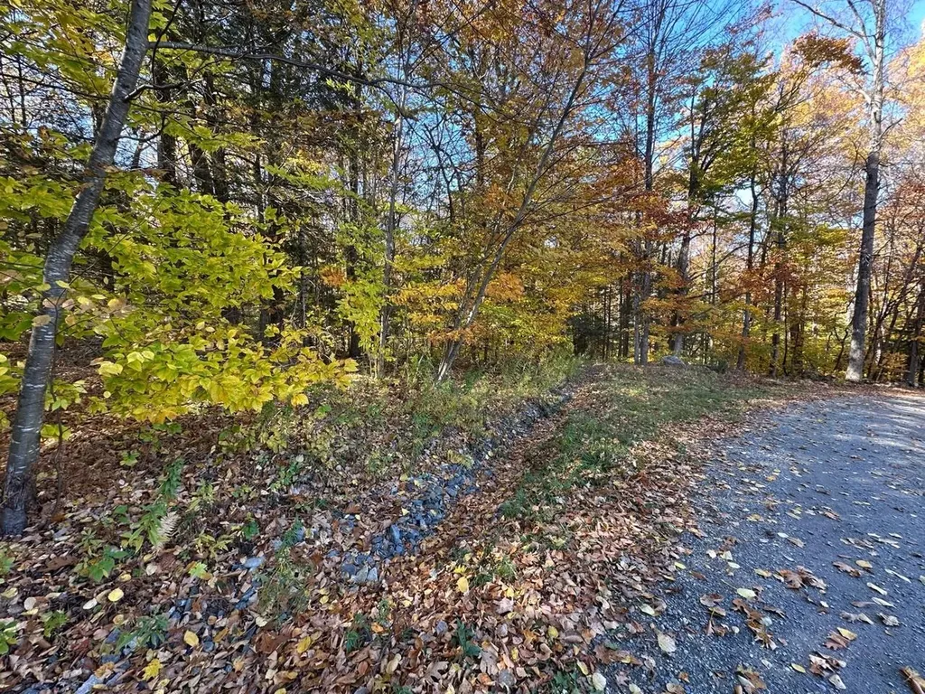 184 Dupre Drive Guilford VT 05301