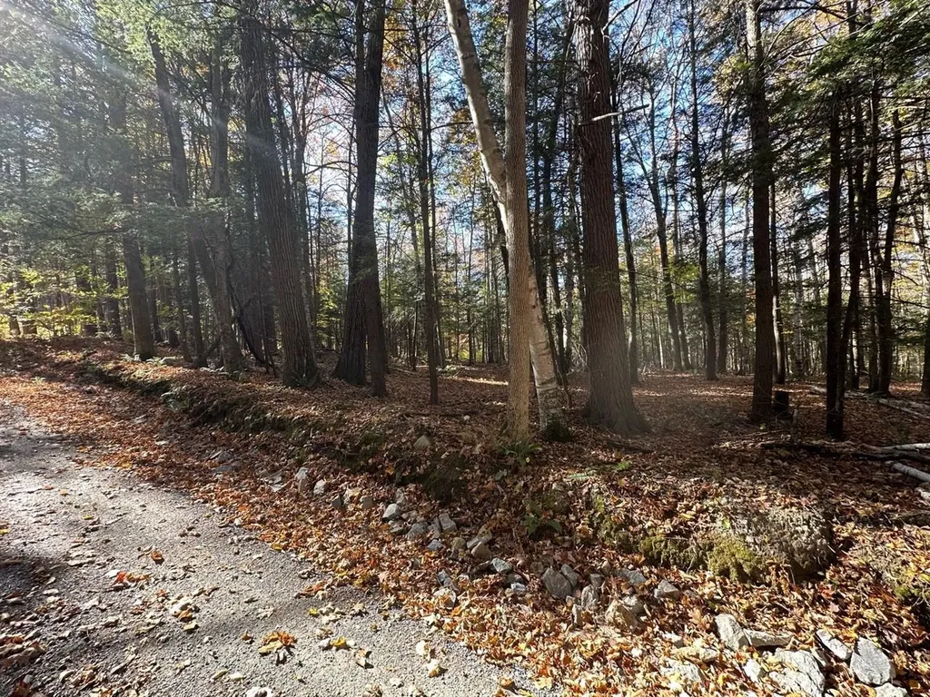 184 Dupre Drive Guilford VT 05301