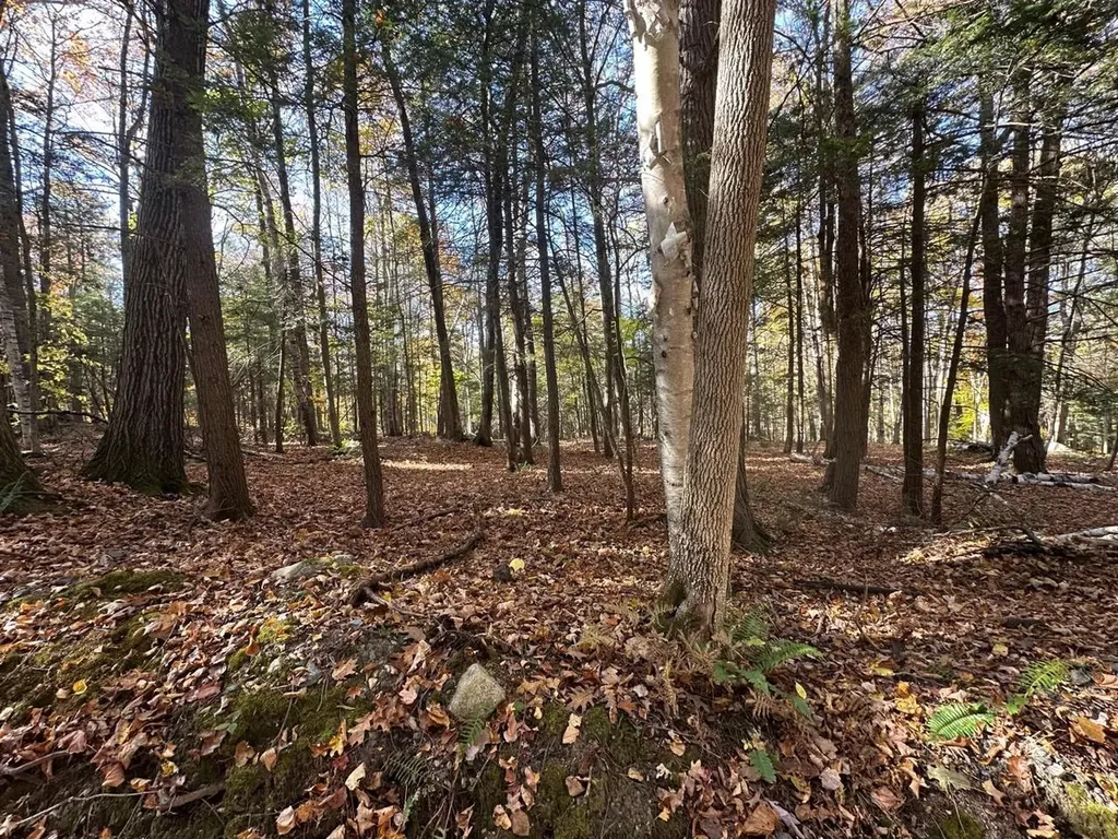 184 Dupre Drive Guilford VT 05301