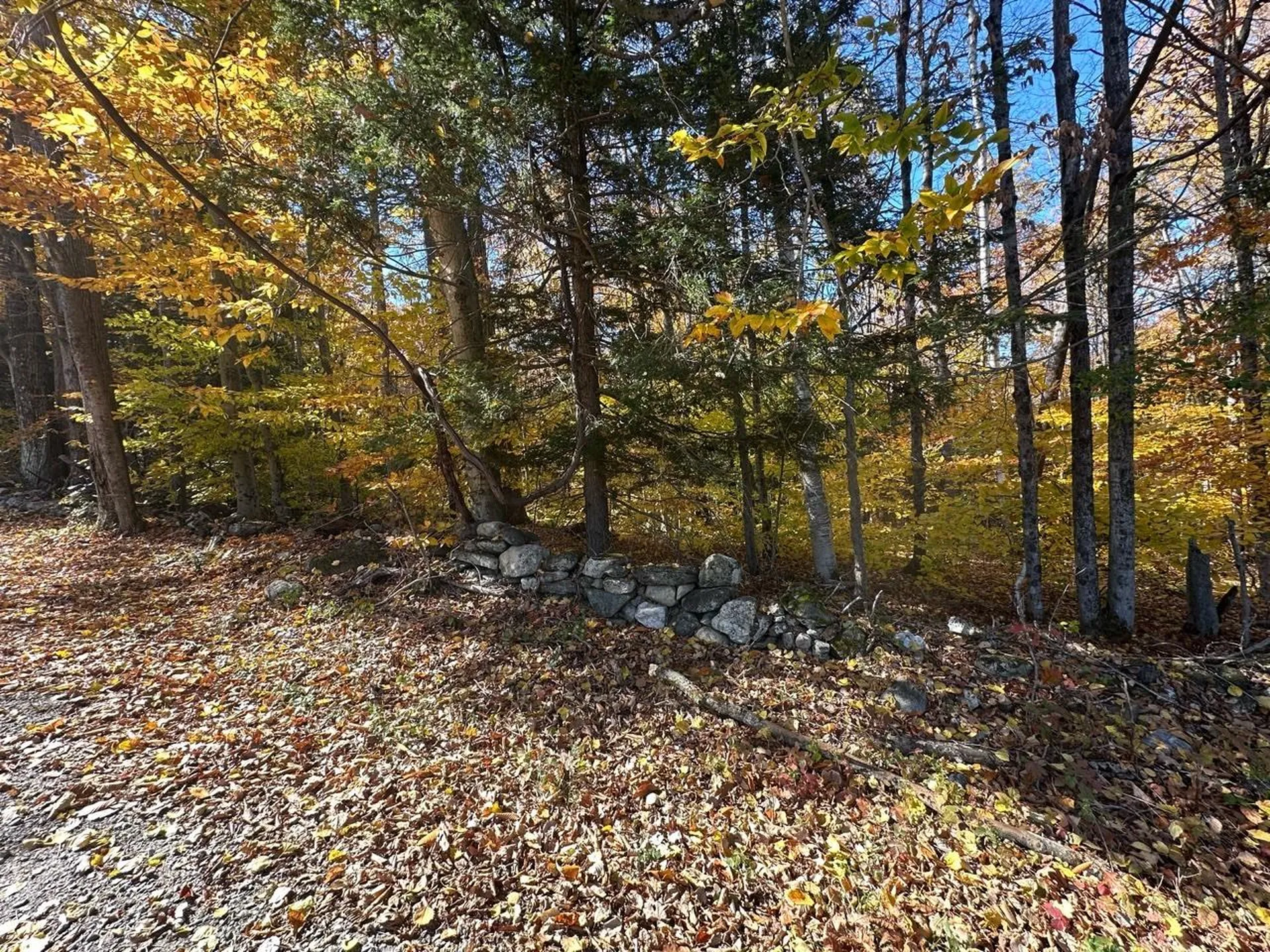 184 Dupre Drive Guilford VT 05301