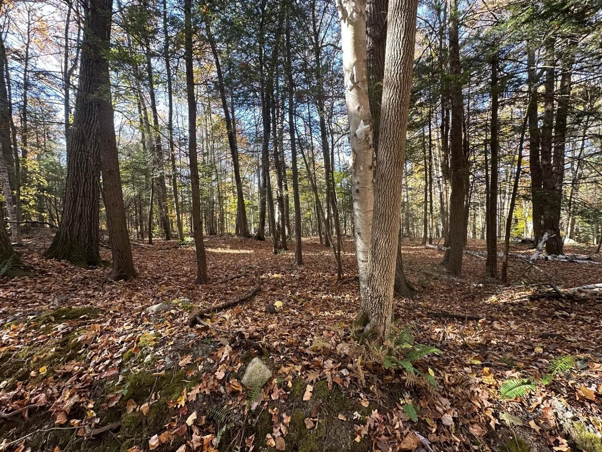 184 Dupre Drive Guilford VT 05301