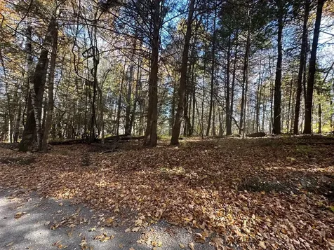 184 Dupre Drive Guilford VT 05301