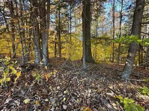 184 Dupre Drive Guilford VT 05301