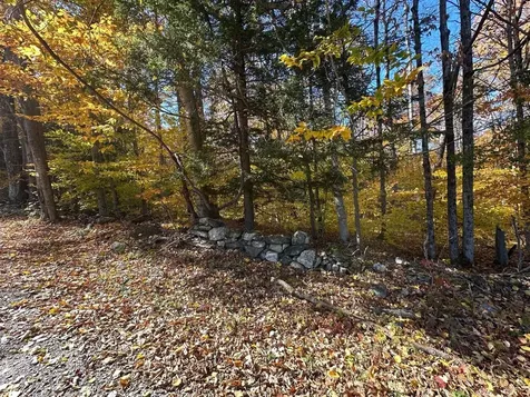 184 Dupre Drive Guilford VT 05301