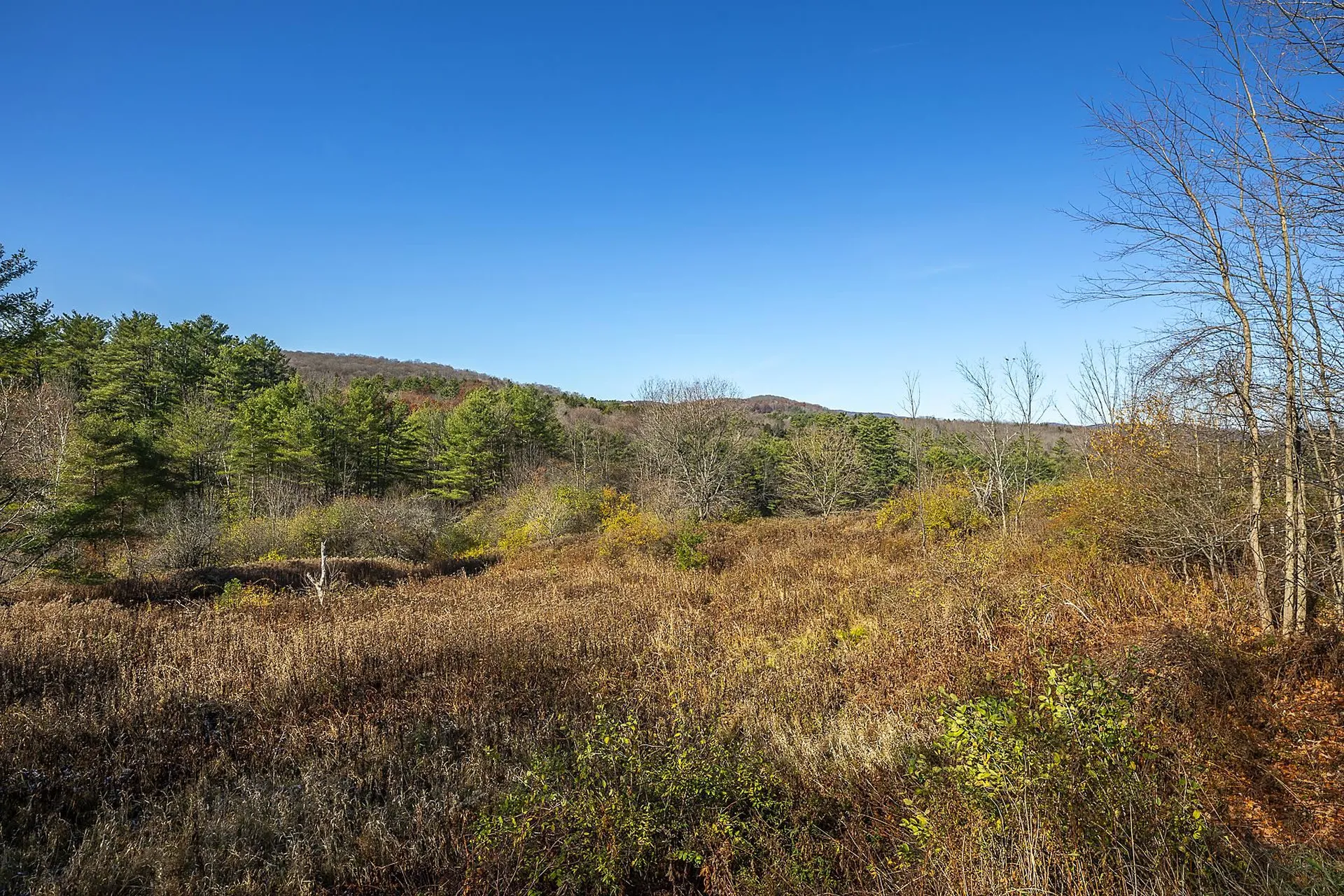 62 Grout Road Hartland VT 05048