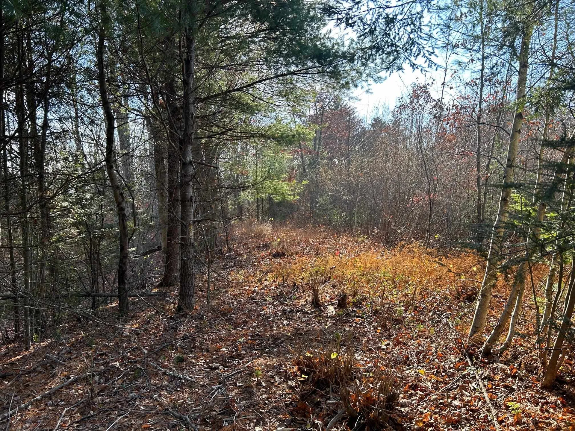 9 Bowley Road East Kingston NH 03827