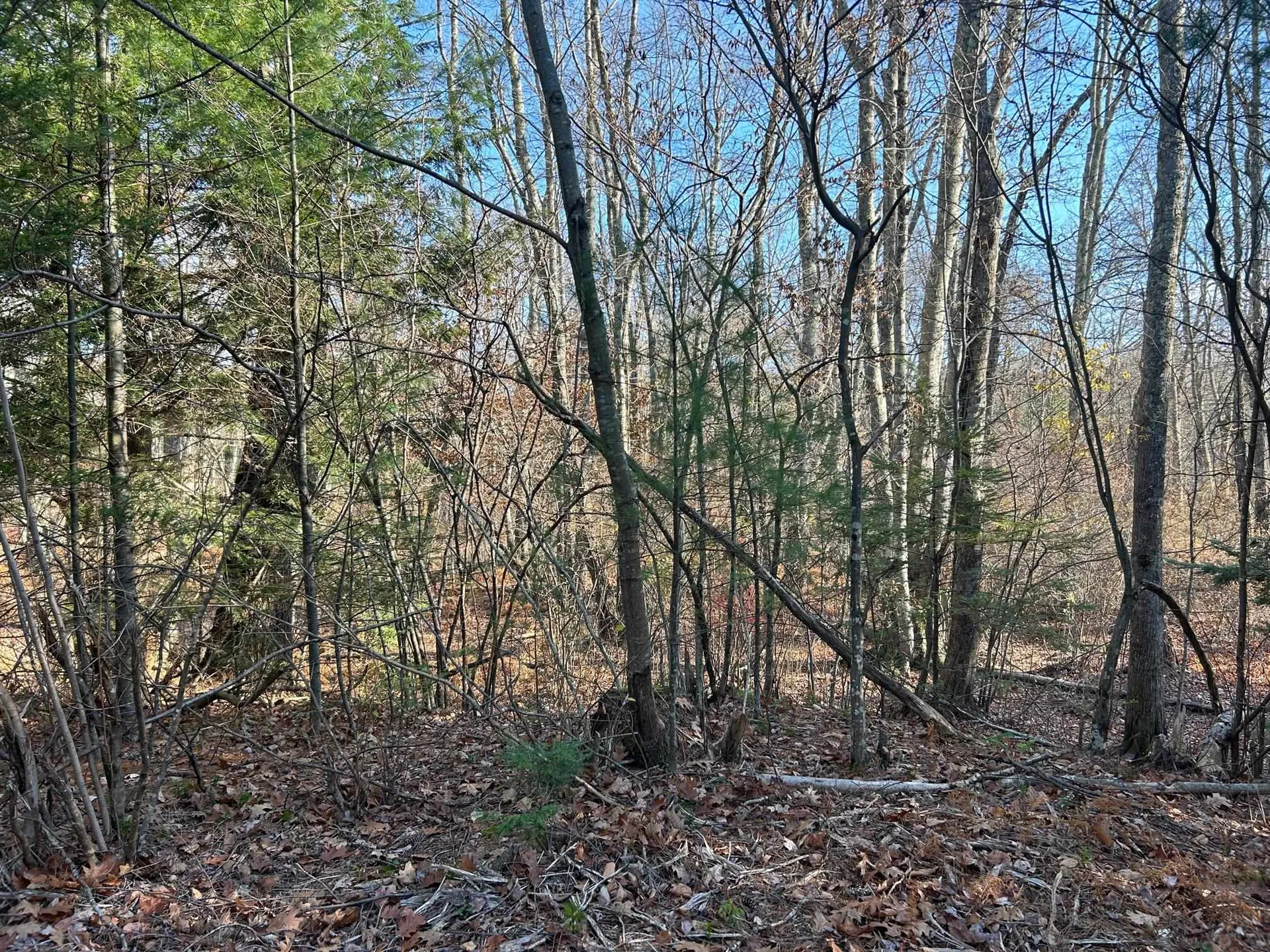 9 Bowley Road East Kingston NH 03827