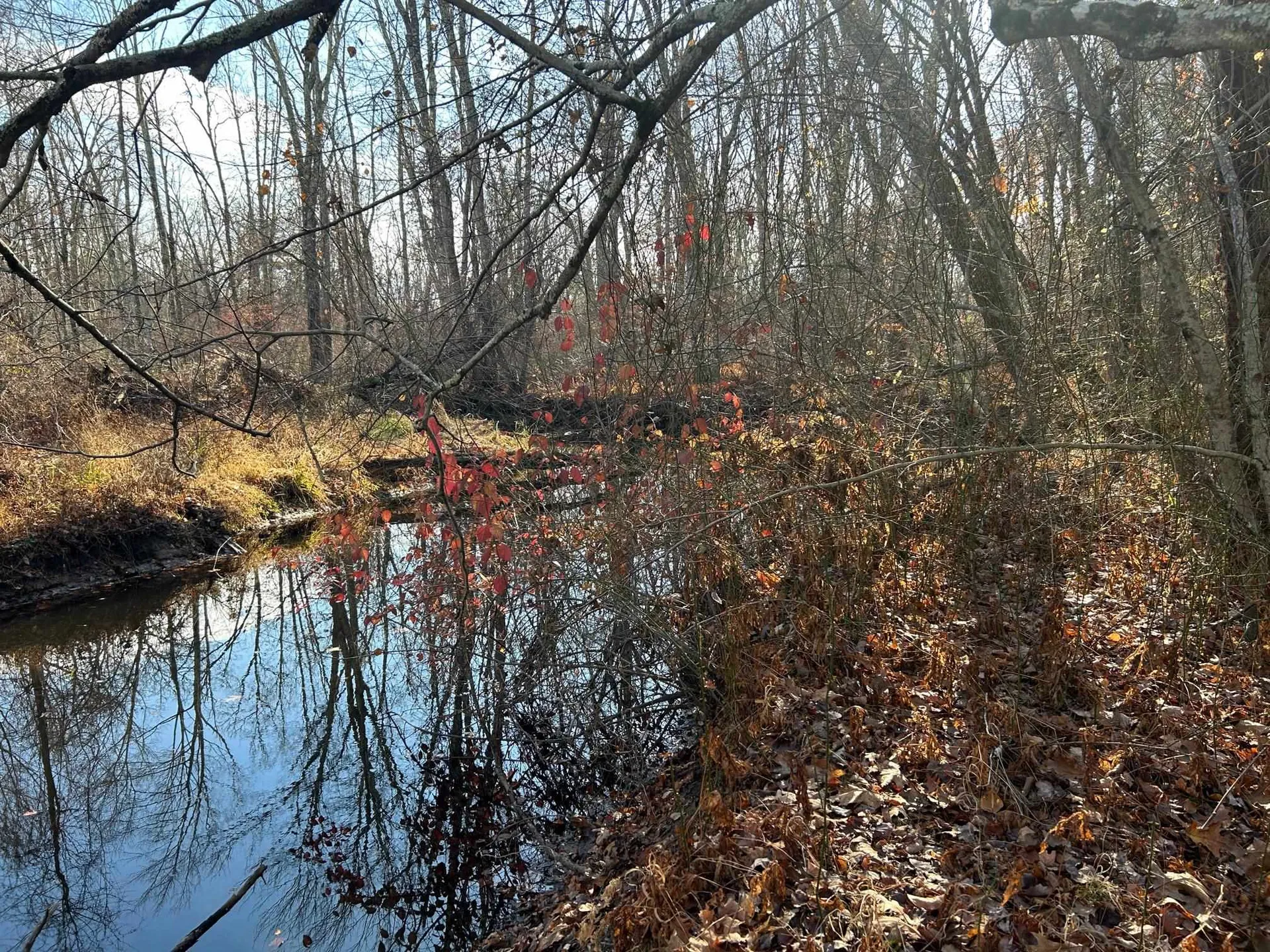 9 Bowley Road East Kingston NH 03827