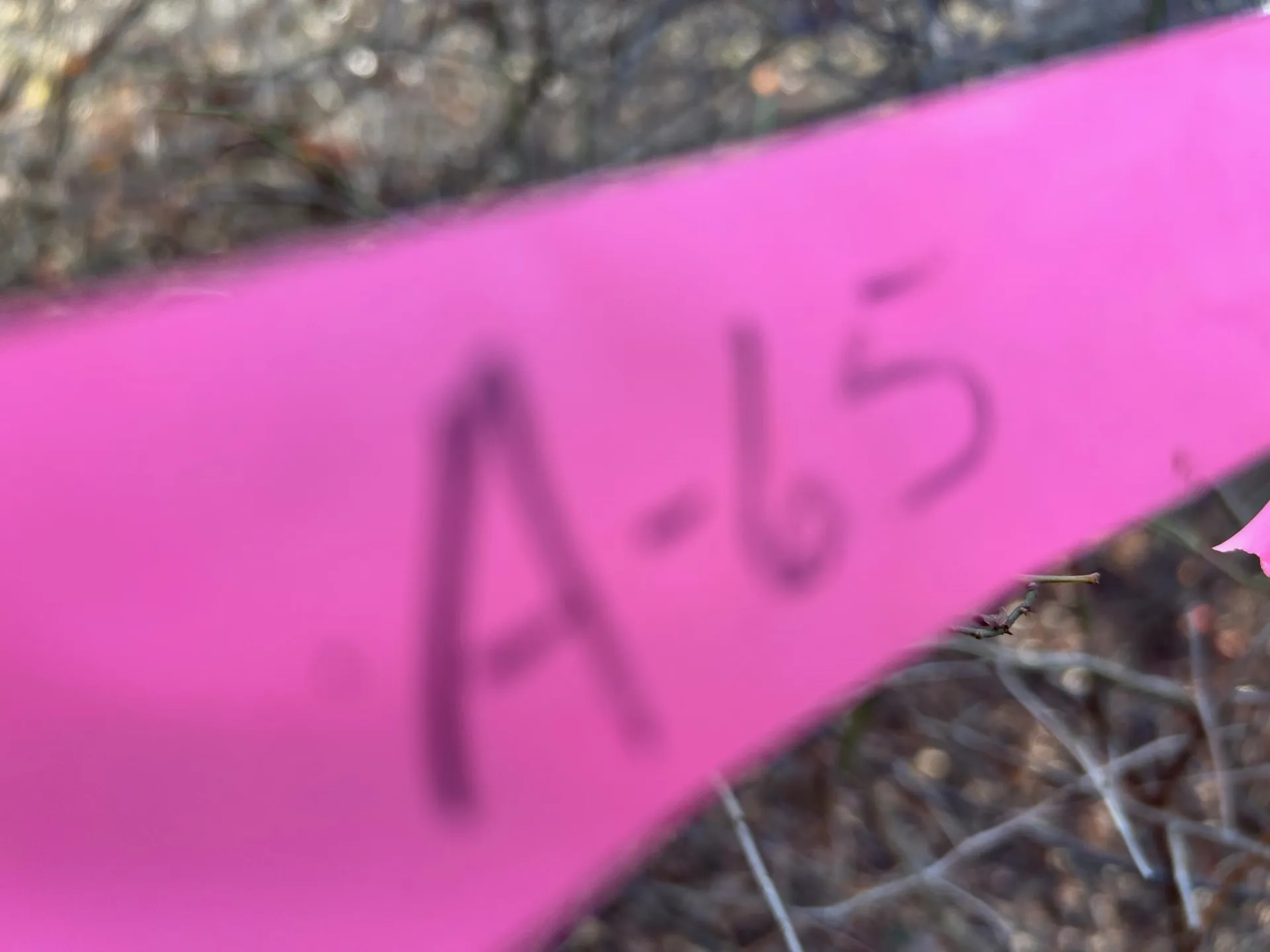 9 Bowley Road East Kingston NH 03827