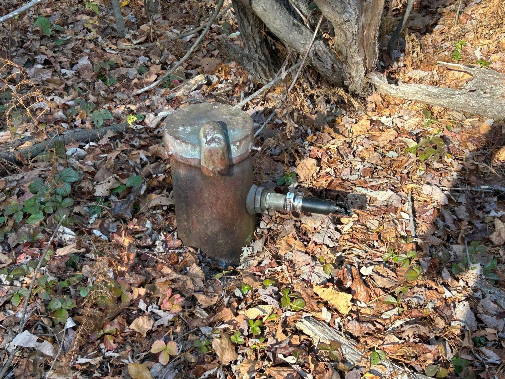 9 Bowley Road East Kingston NH 03827