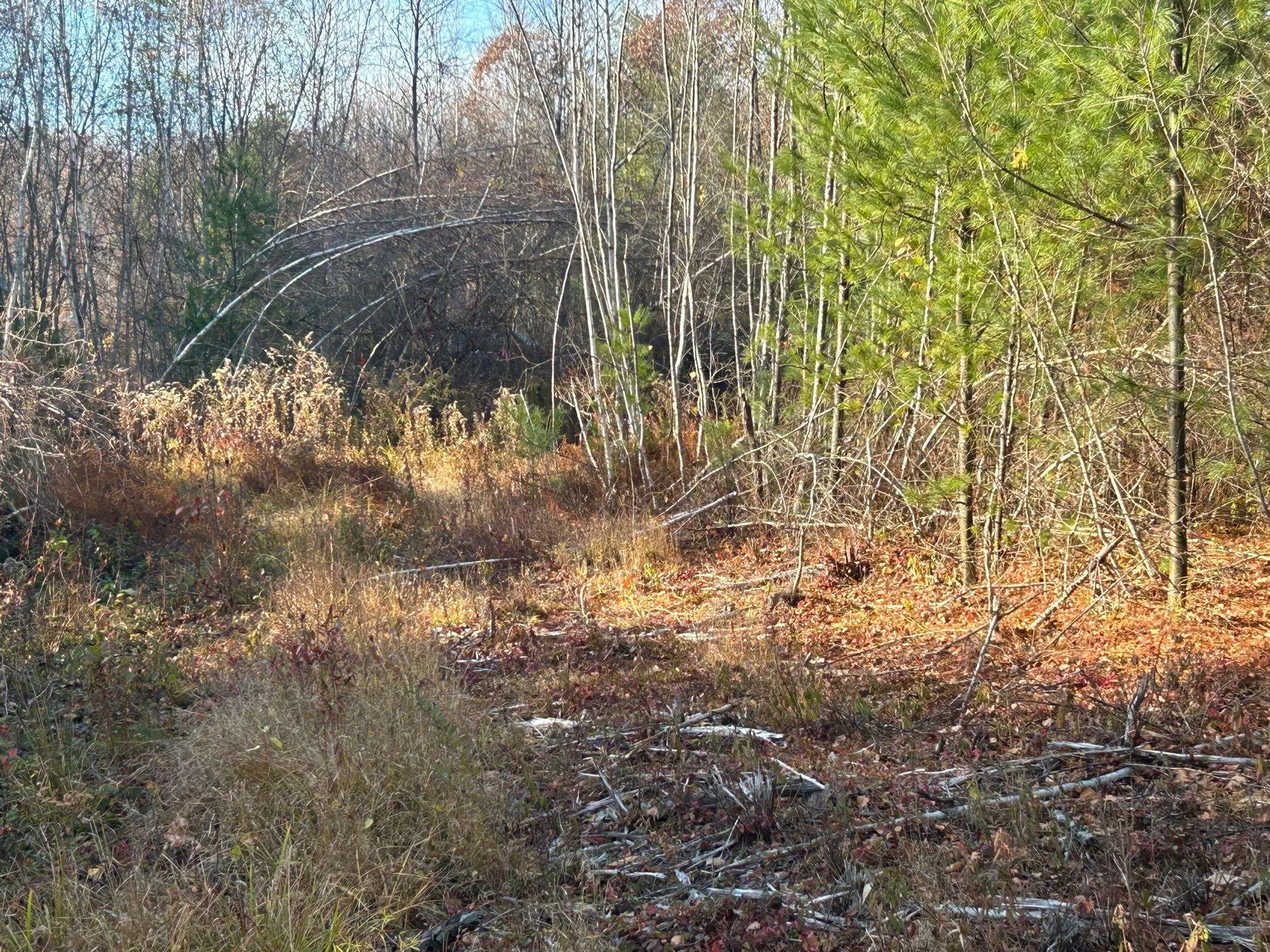 9 Bowley Road East Kingston NH 03827