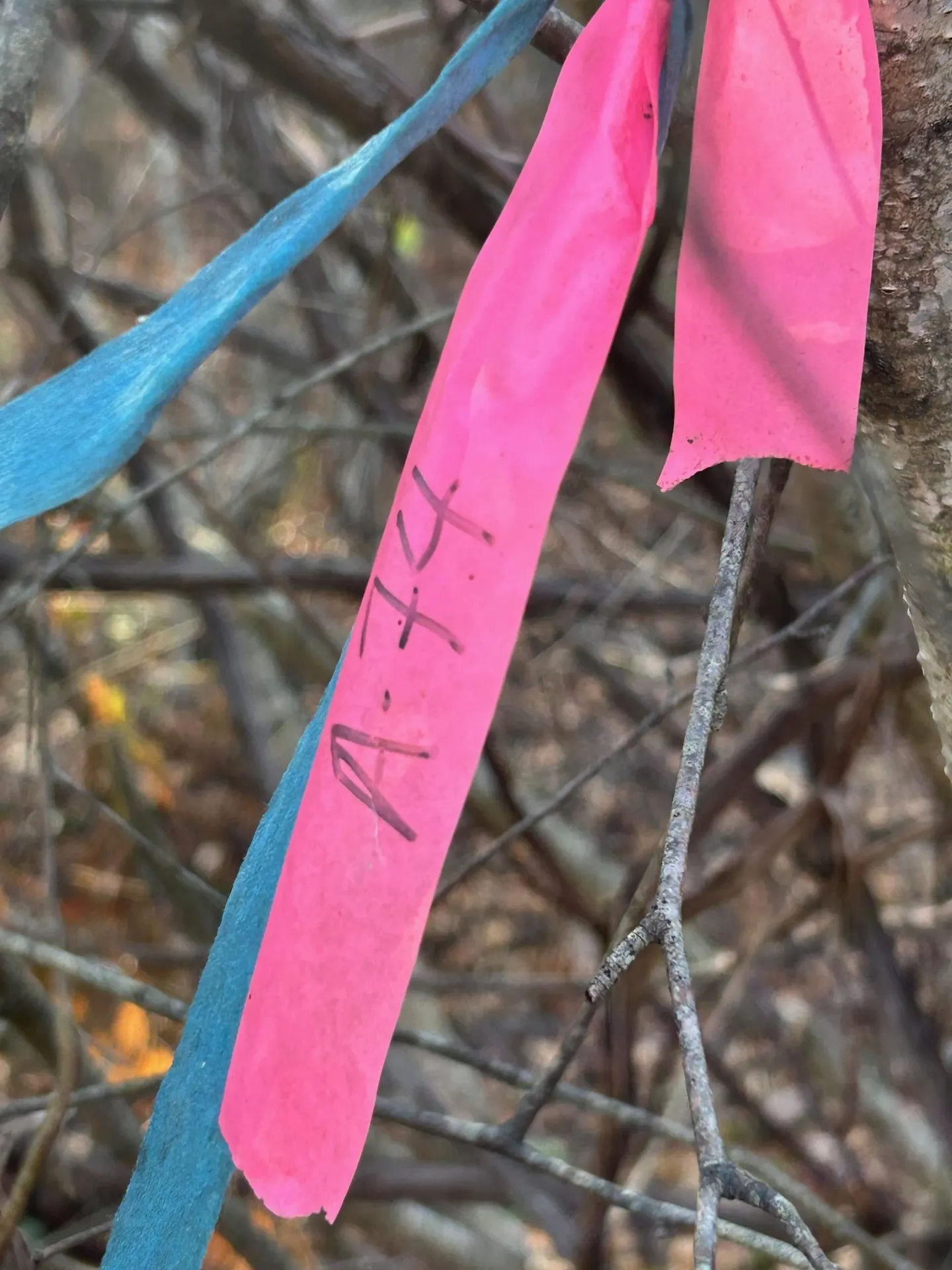 9 Bowley Road East Kingston NH 03827