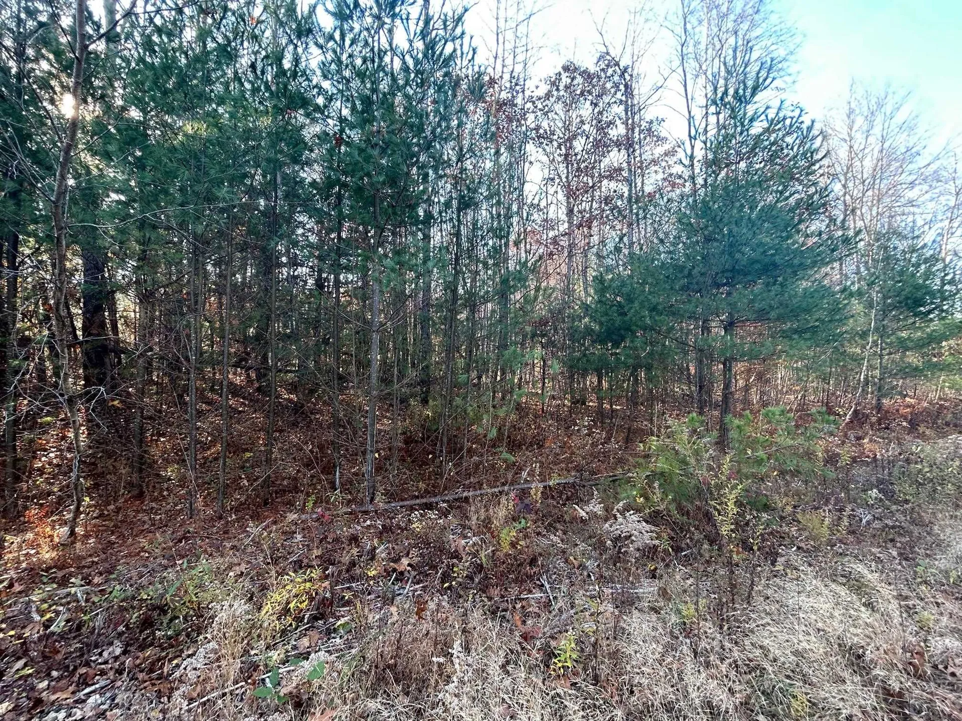 9 Bowley Road East Kingston NH 03827