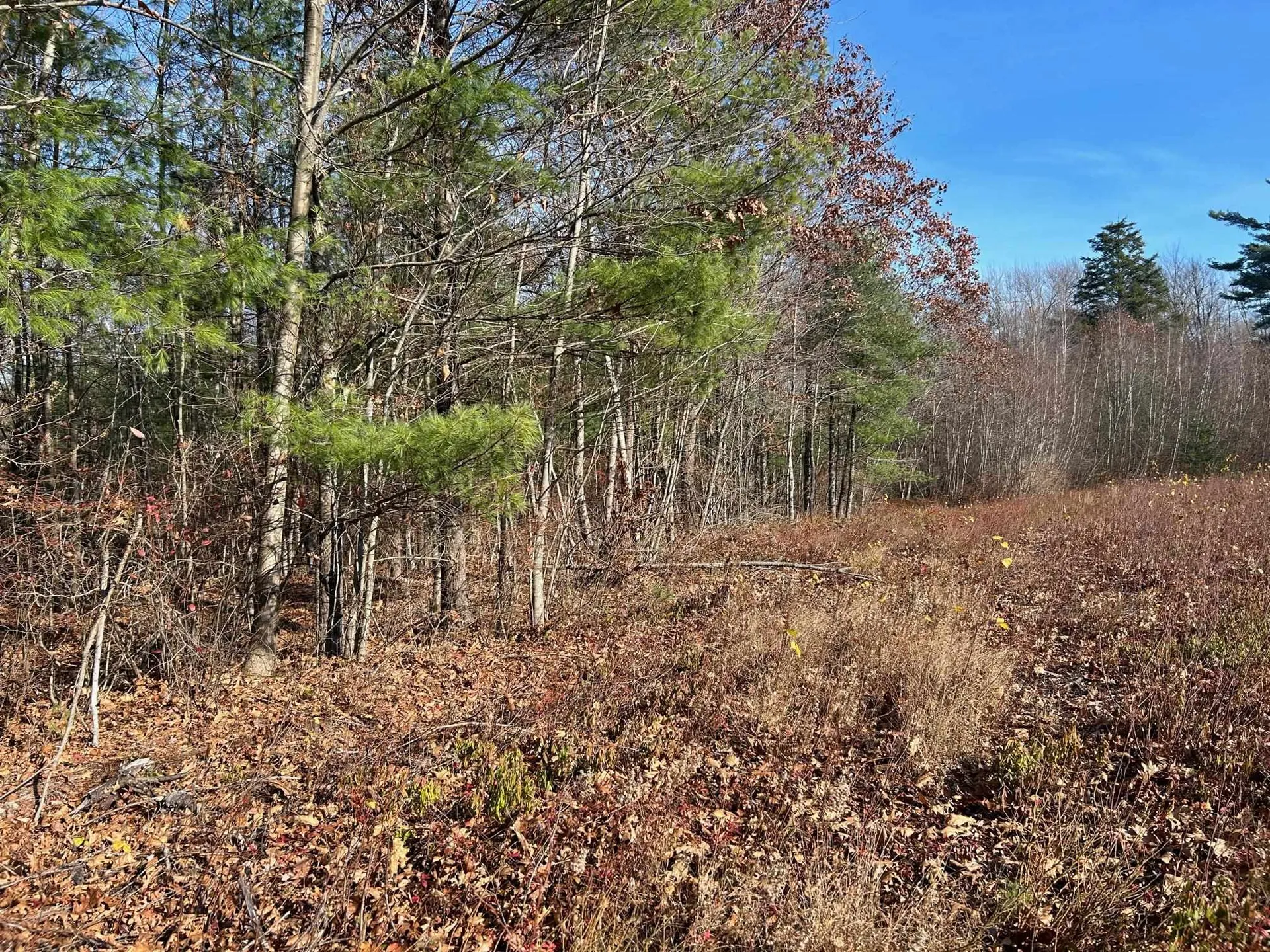 9 Bowley Road East Kingston NH 03827