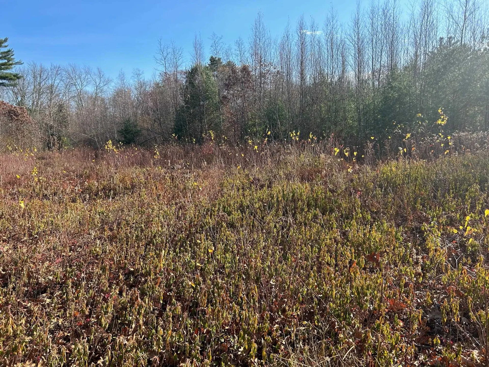 9 Bowley Road East Kingston NH 03827