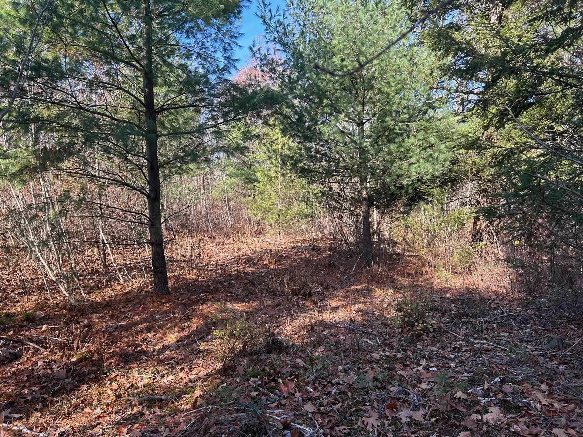 9 Bowley Road East Kingston NH 03827