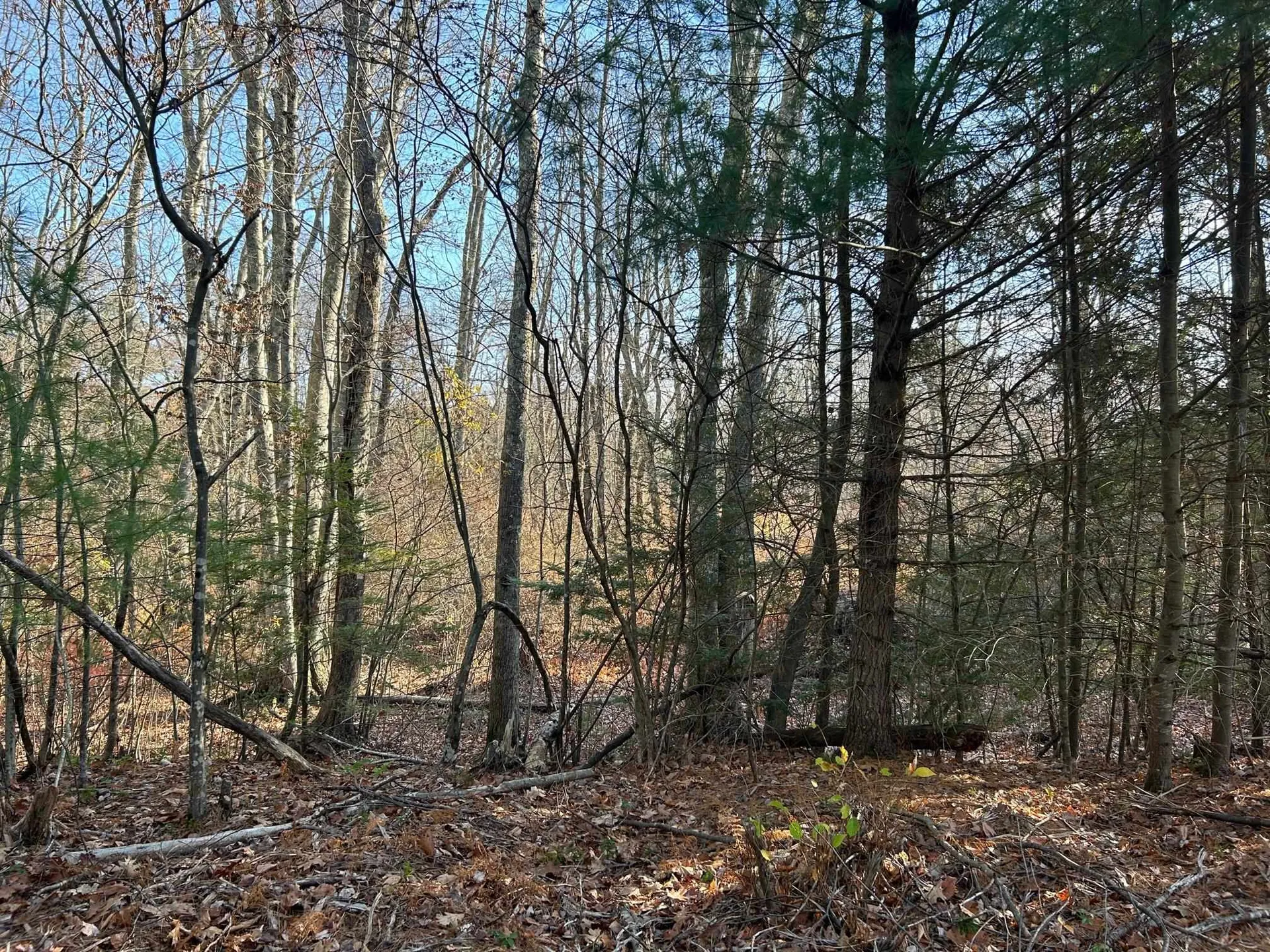 9 Bowley Road East Kingston NH 03827