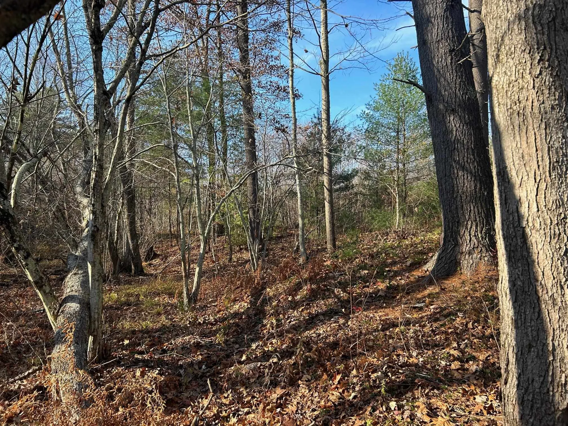 9 Bowley Road East Kingston NH 03827