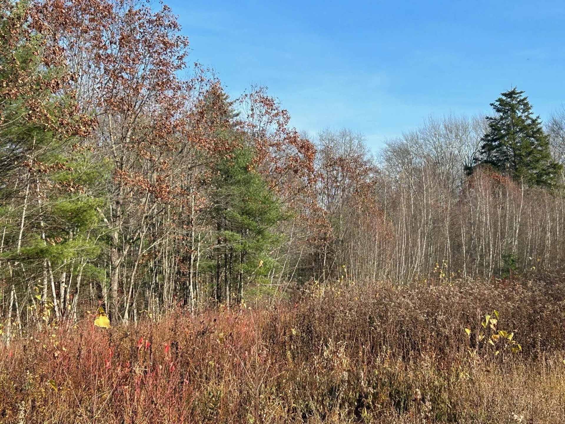 9 Bowley Road East Kingston NH 03827