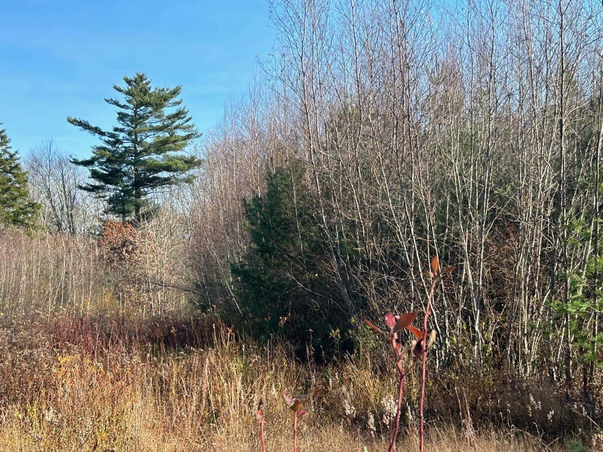 9 Bowley Road East Kingston NH 03827