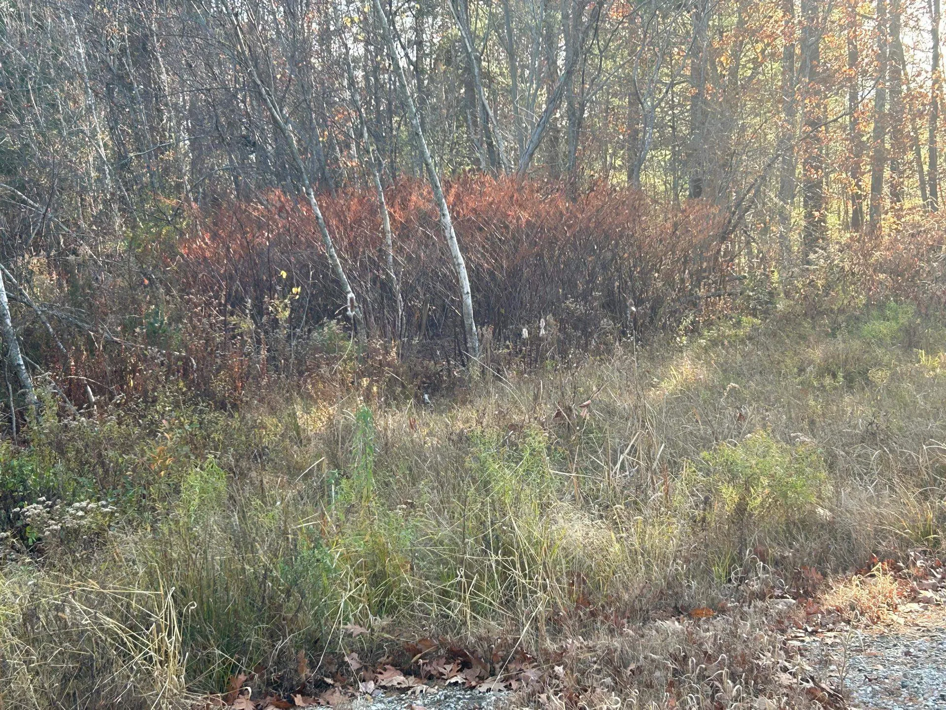 9 Bowley Road East Kingston NH 03827