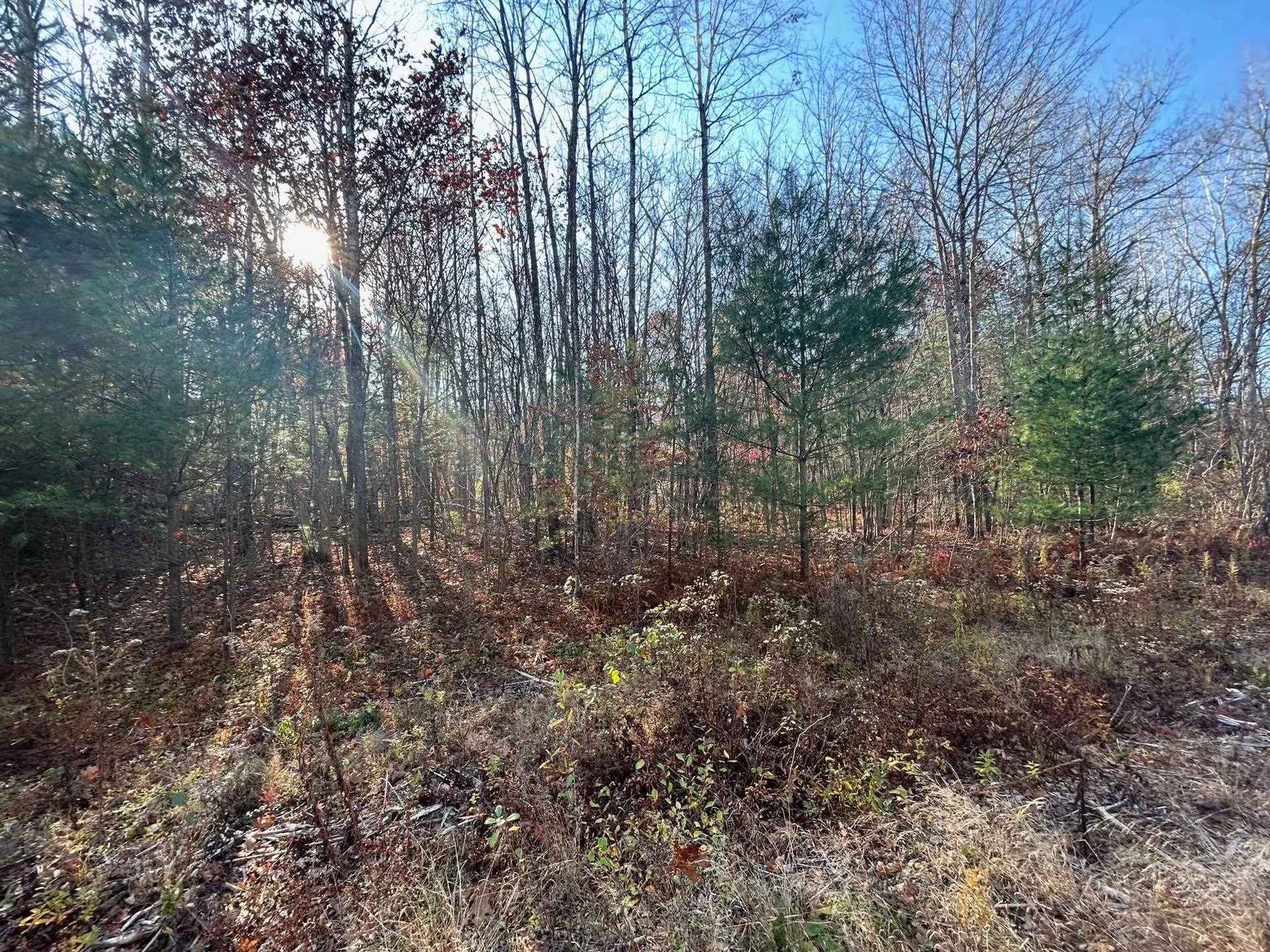 9 Bowley Road East Kingston NH 03827