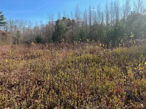 9 Bowley Road East Kingston NH 03827