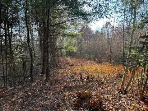 9 Bowley Road East Kingston NH 03827