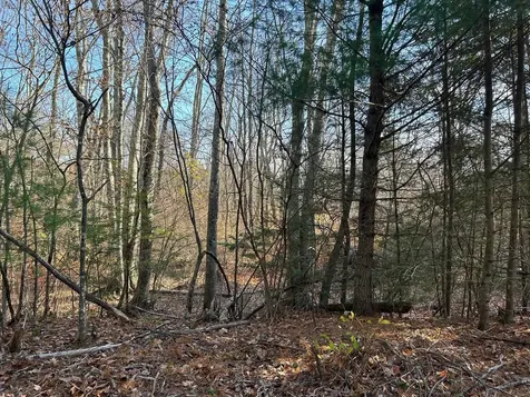 9 Bowley Road East Kingston NH 03827