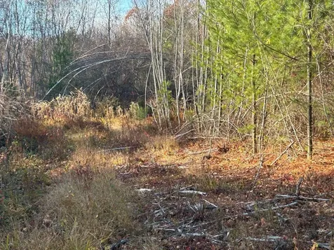 9 Bowley Road East Kingston NH 03827