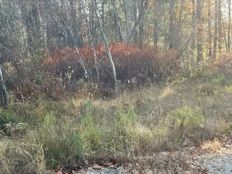 9 Bowley Road East Kingston NH 03827