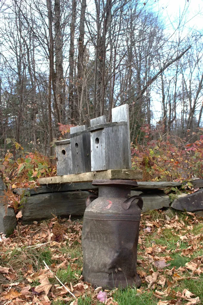 3726 Sheffield Square Road Sheffield VT 05839