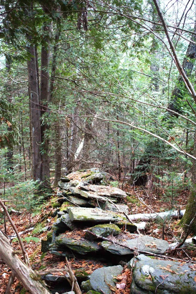 3726 Sheffield Square Road Sheffield VT 05839