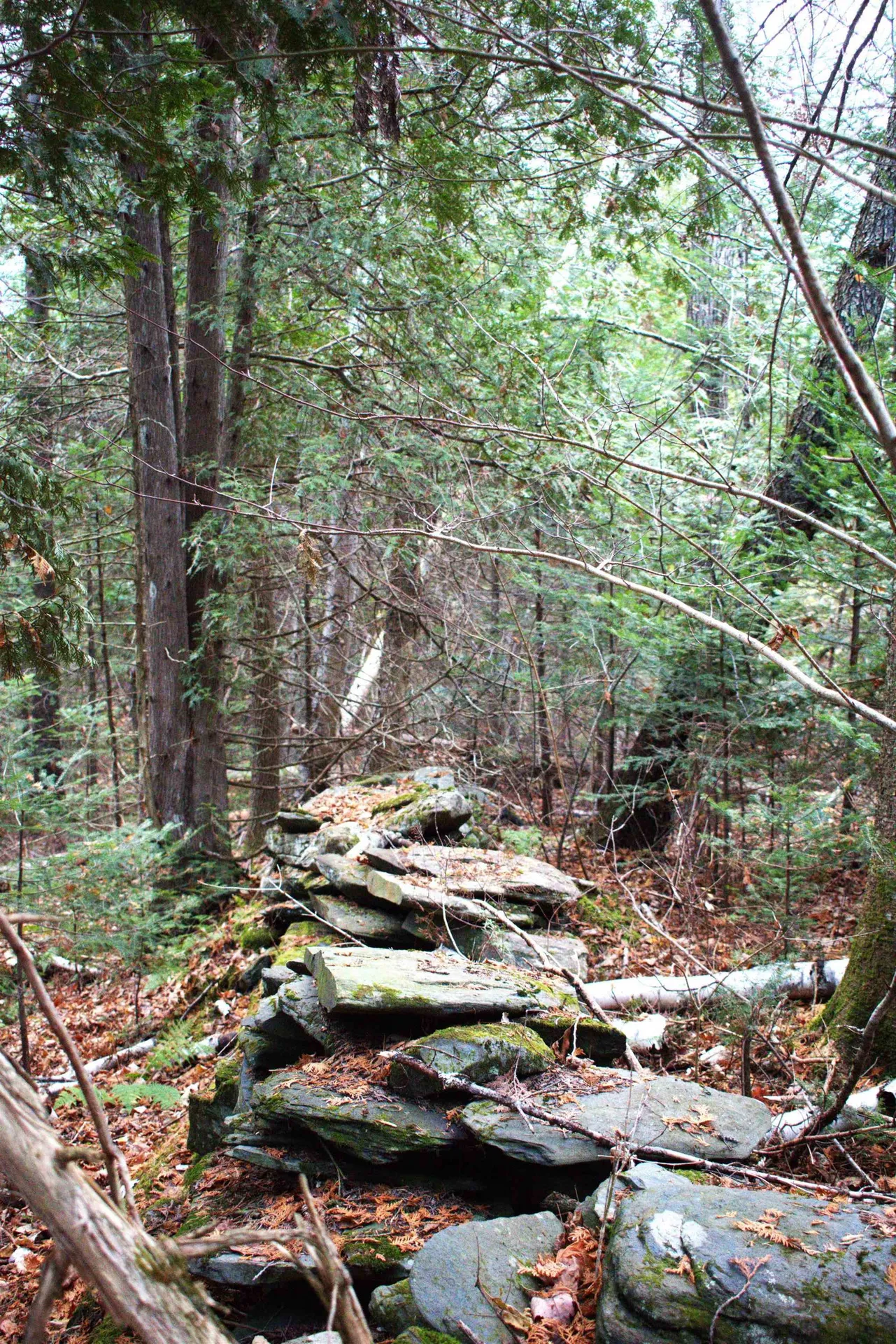 3726 Sheffield Square Road Sheffield VT 05839