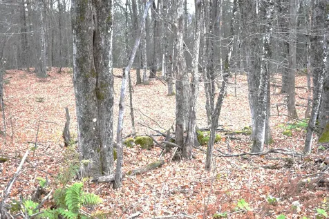 3726 Sheffield Square Road Sheffield VT 05839