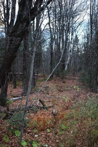 3726 Sheffield Square Road Sheffield VT 05839