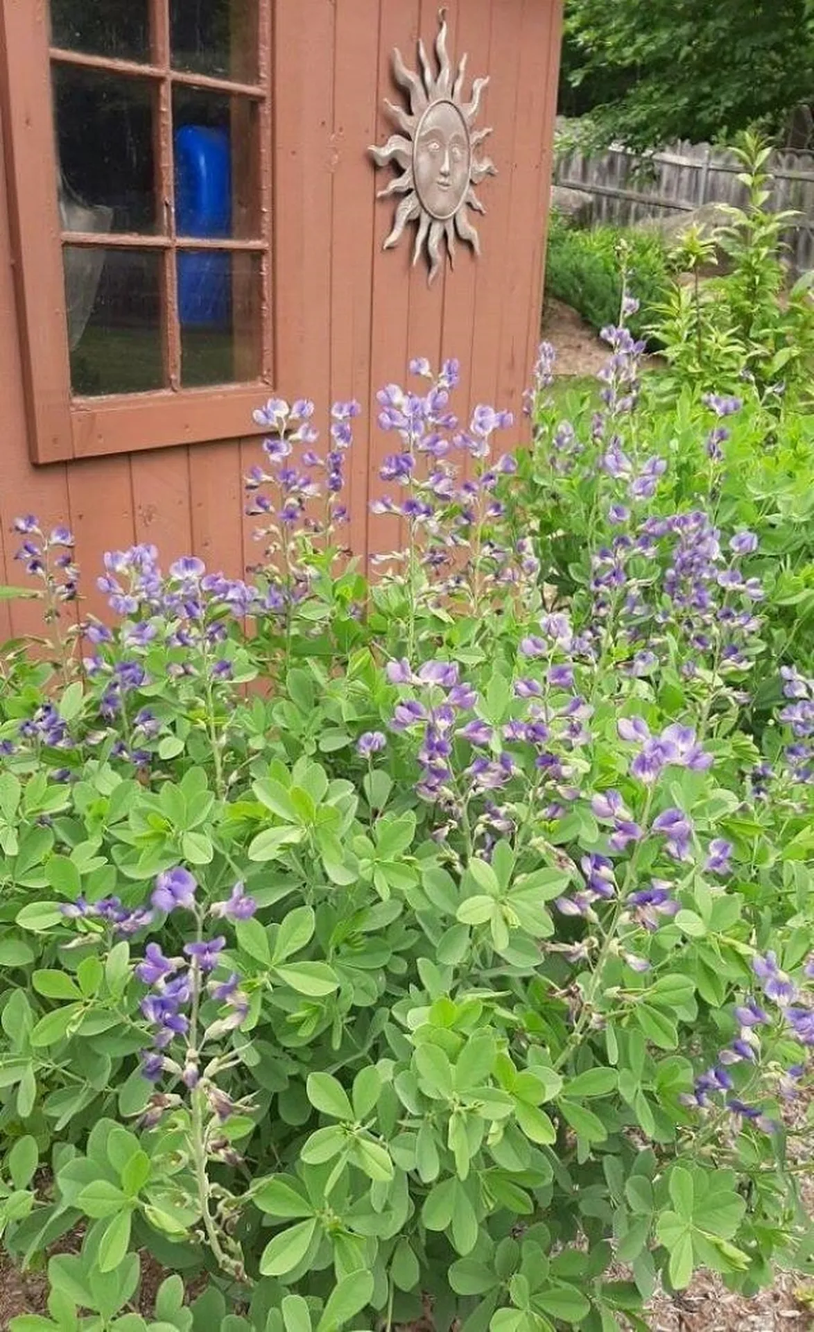 34 West Shore Road Swanzey NH 03446