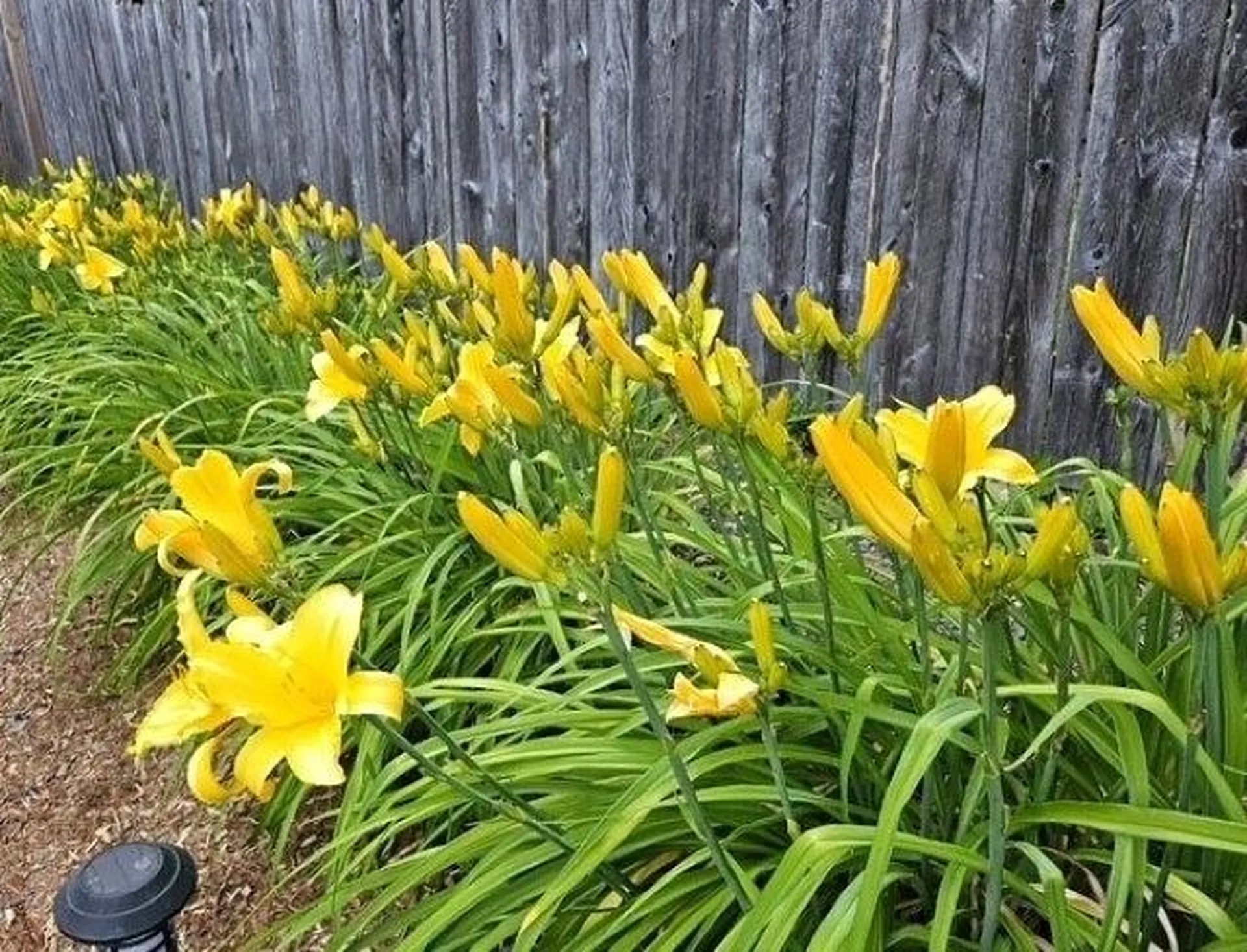 34 West Shore Road Swanzey NH 03446