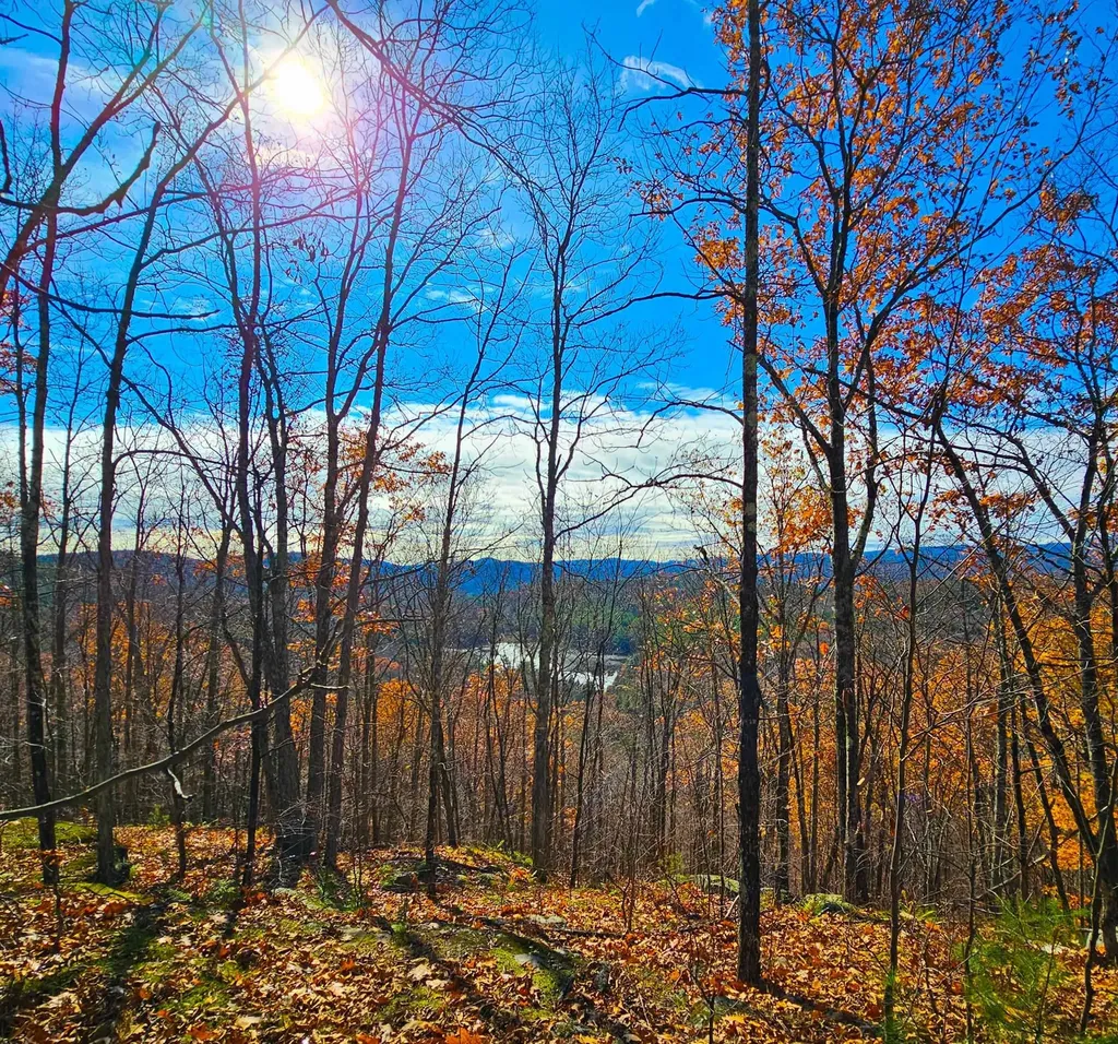 Hall Road Chester VT 05143