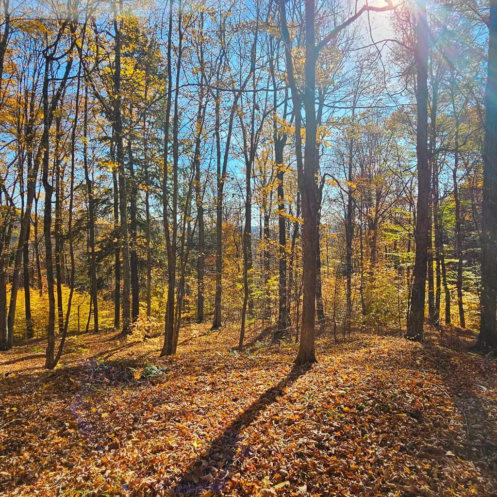 Hall Road Chester VT 05143