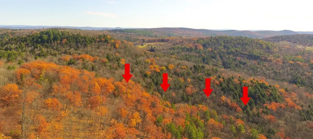 Hall Road Chester VT 05143