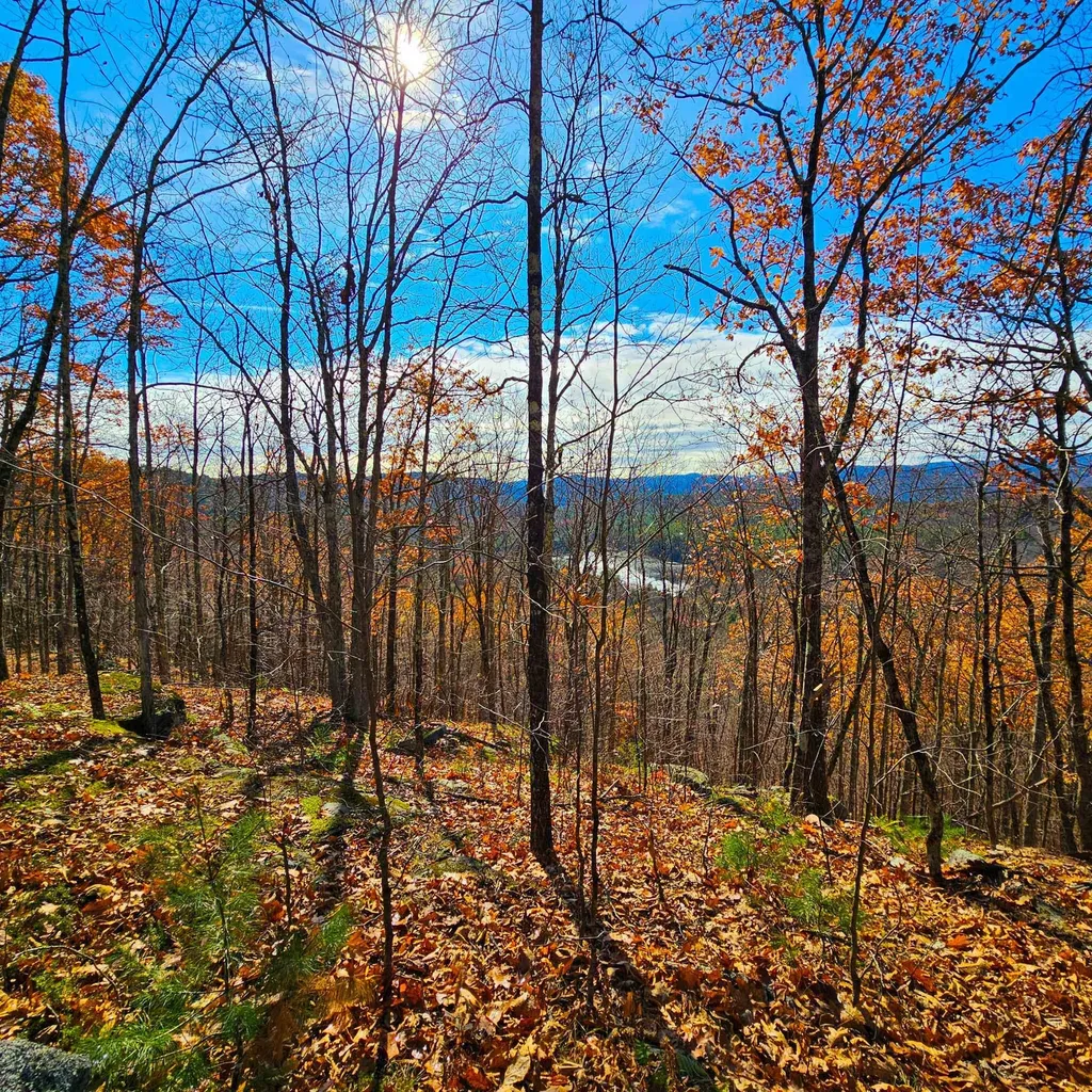 Hall Road Chester VT 05143