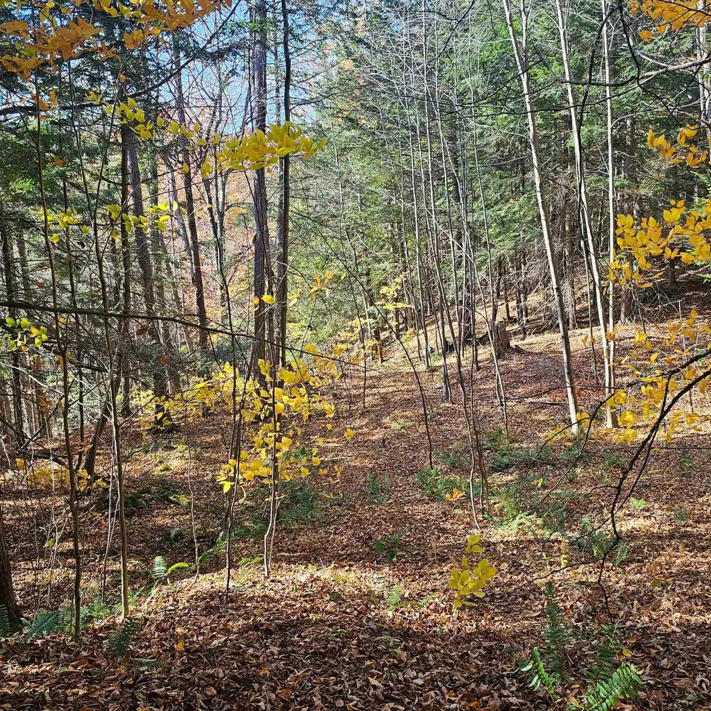 Hall Road Chester VT 05143