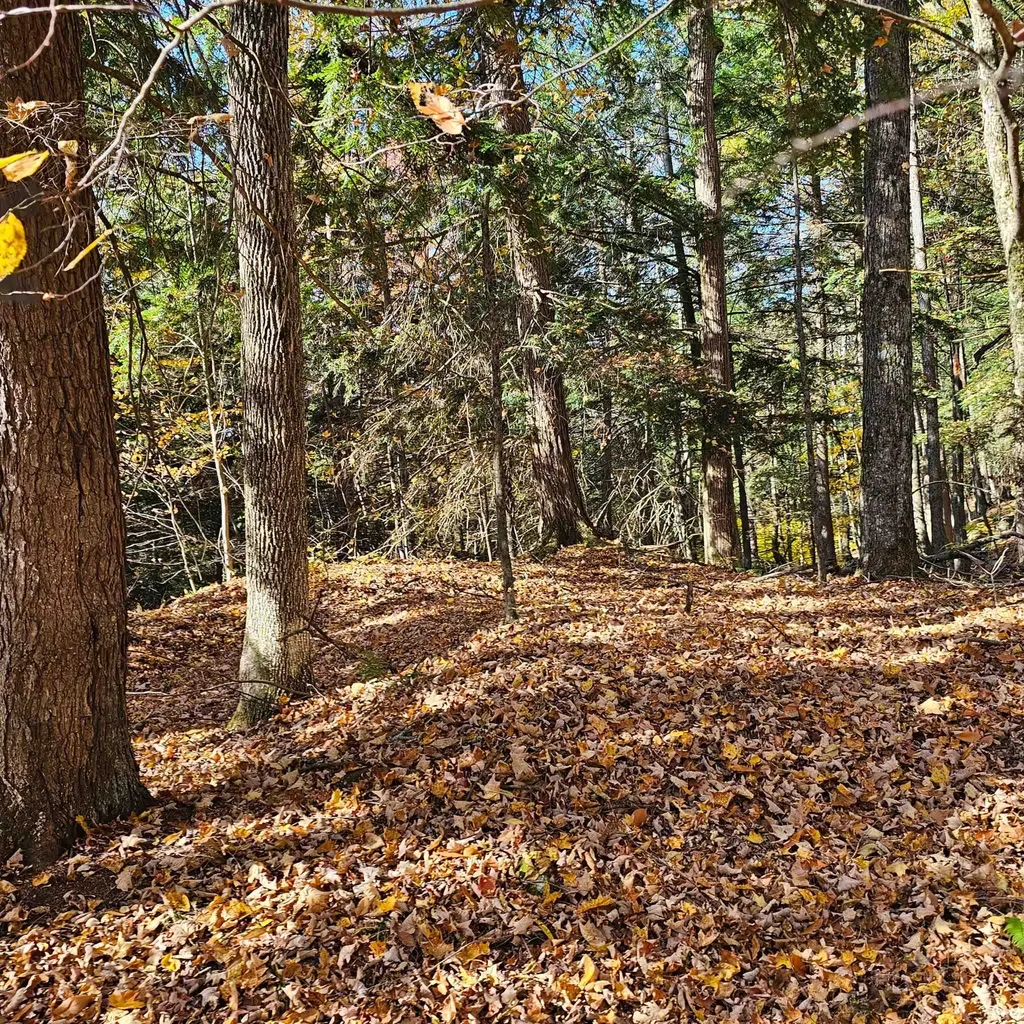 Hall Road Chester VT 05143