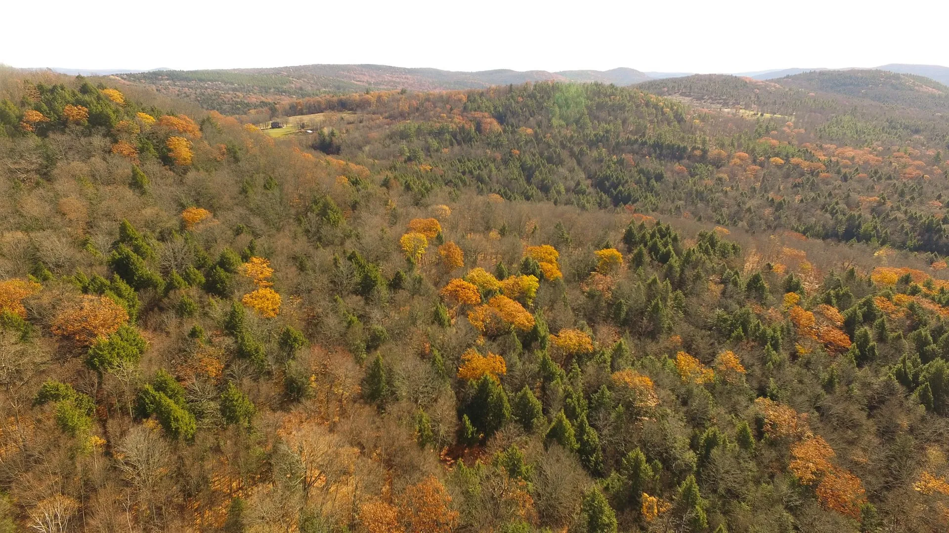 Hall Road Chester VT 05143