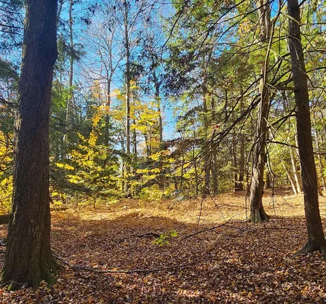 Hall Road Chester VT 05143